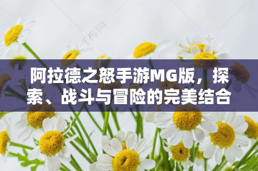 阿拉德之怒手游MG版图片