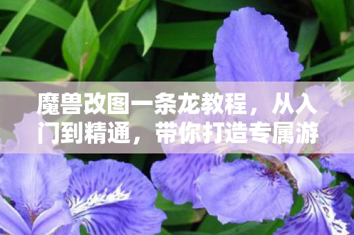 带你打造专属游戏世界图片