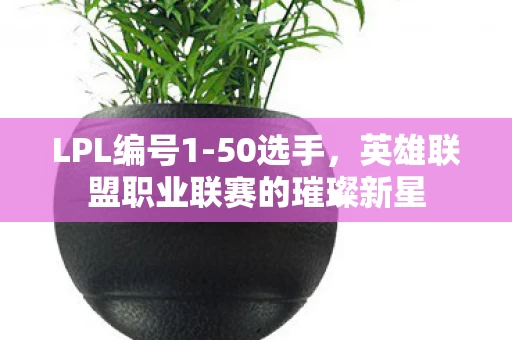 英雄联盟职业联赛的璀璨新星图片