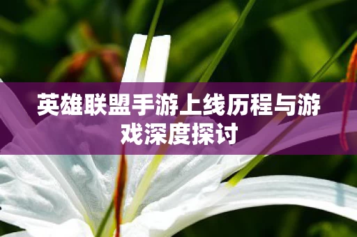 英雄联盟手游上线历程与游戏深度探讨图片