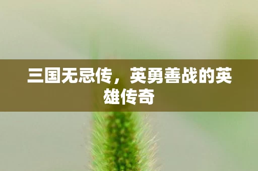 英勇善战的英雄传奇图片