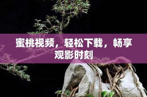 畅享观影时刻图片