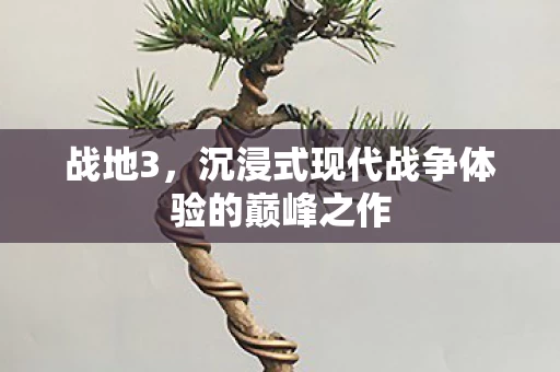 沉浸式现代战争体验的巅峰之作图片