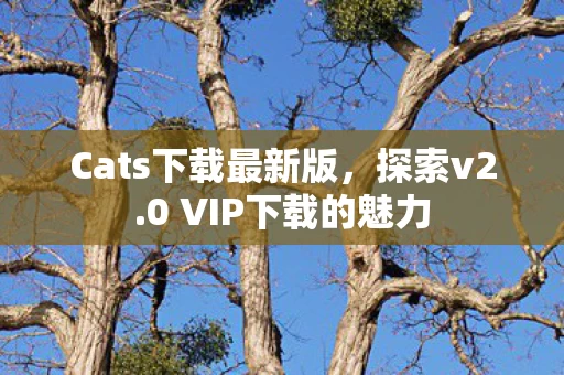 0 VIP下载的魅力图片