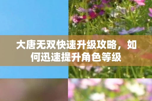 大唐无双快速升级攻略图片