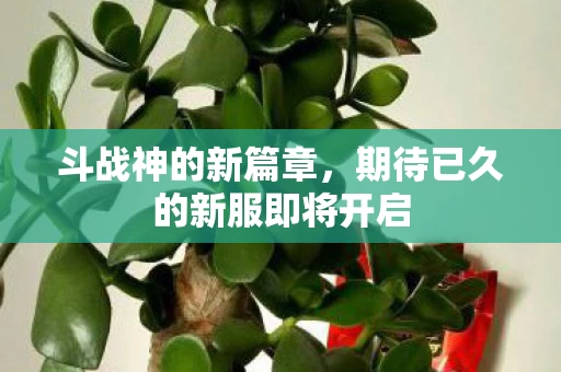 期待已久的新服即将开启图片