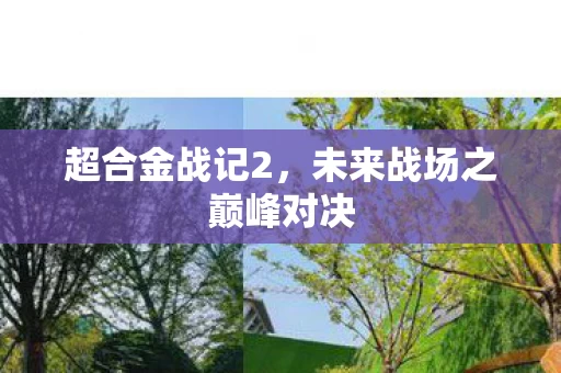未来战场之巅峰对决图片
