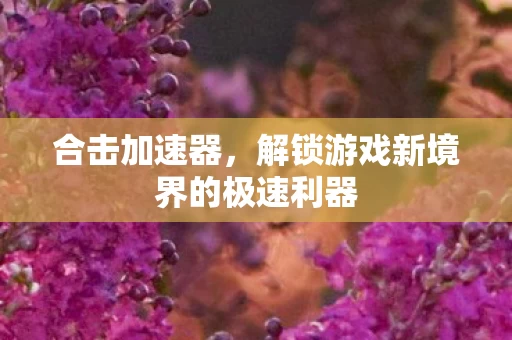 解锁游戏新境界的极速利器图片