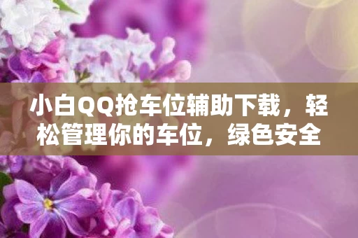小白QQ抢车位辅助下载图片