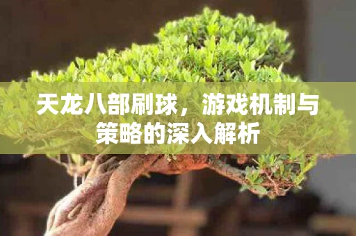 游戏机制与策略的深入解析图片