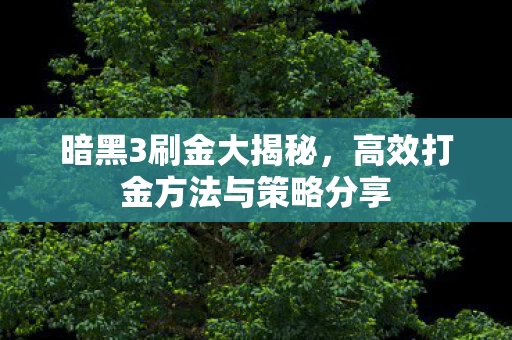 高效打金方法与策略分享图片