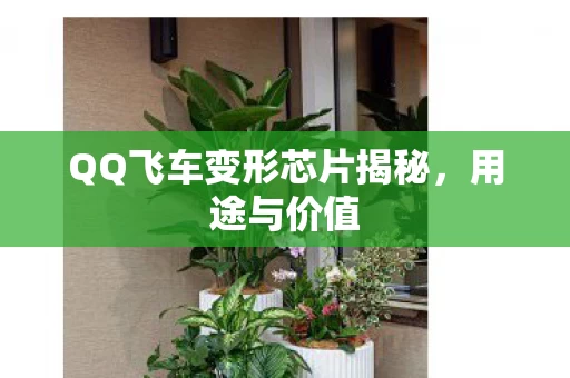 QQ飞车变形芯片揭秘图片