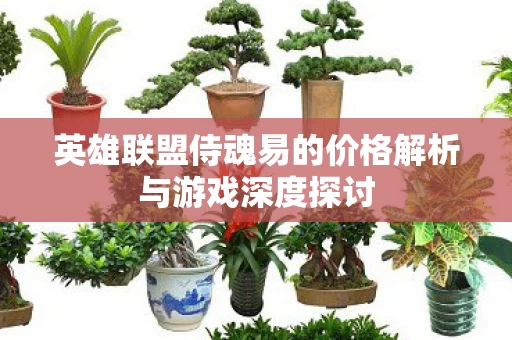 英雄联盟侍魂易的价格解析与游戏深度探讨图片