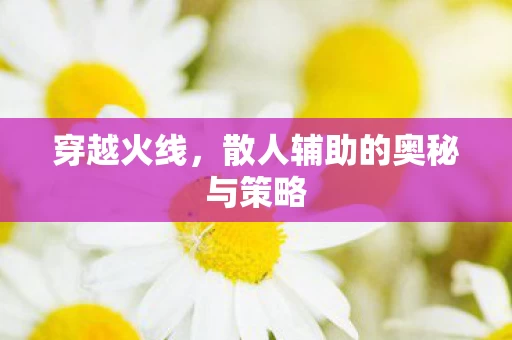 散人辅助的奥秘与策略图片