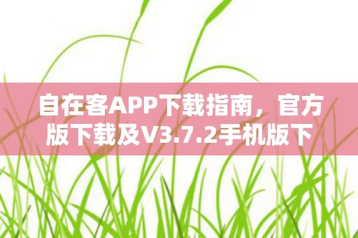 自在客APP下载指南图片