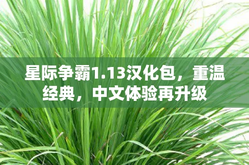 中文体验再升级图片