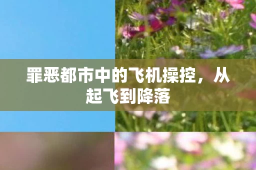 罪恶都市中的飞机操控图片