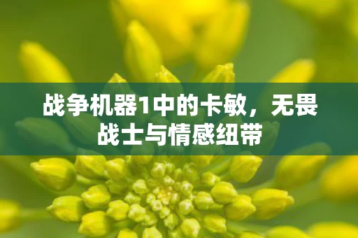 战争机器1中的卡敏图片