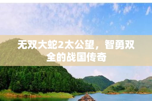 智勇双全的战国传奇图片