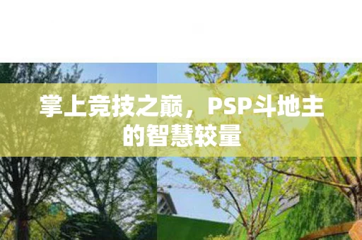PSP斗地主的智慧较量图片