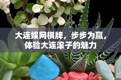 体验大连滚子的魅力图片