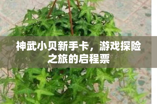 游戏探险之旅的启程票图片