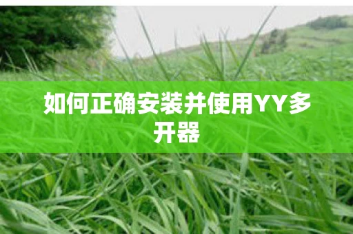 如何正确安装并使用YY多开器图片