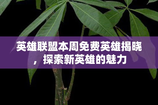 英雄联盟本周免费英雄揭晓图片