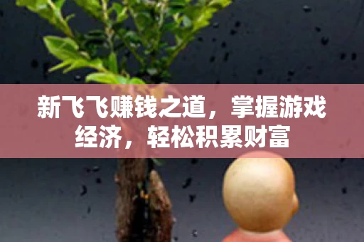新飞飞赚钱之道图片