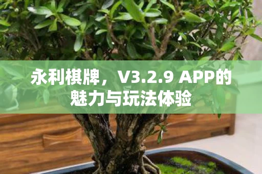 9 APP的魅力与玩法体验图片