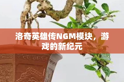 洛奇英雄传NGM模块图片