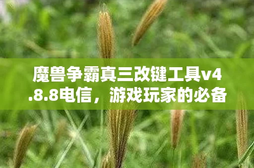 魔兽争霸真三改键工具v4图片