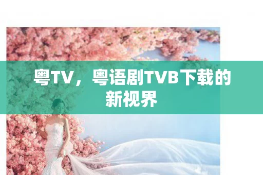 粤语剧TVB下载的新视界图片