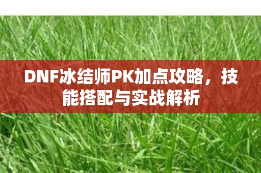 DNF冰结师PK加点攻略图片