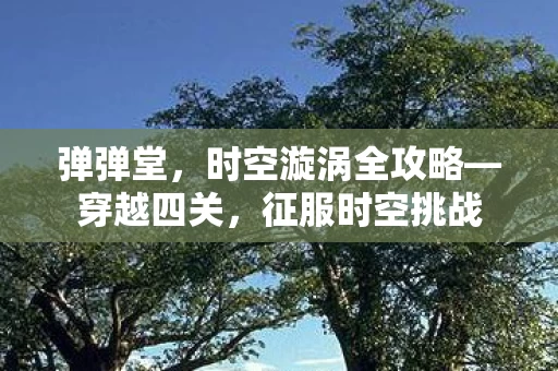 时空漩涡全攻略图片