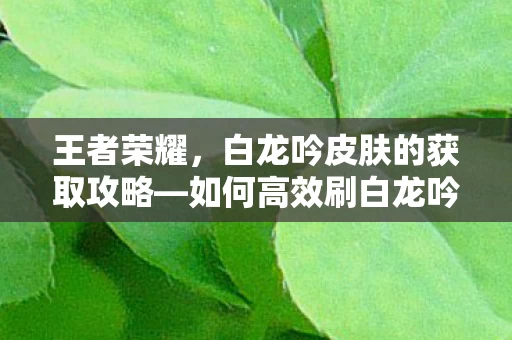 白龙吟皮肤的获取攻略图片
