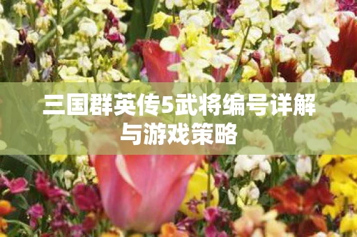 三国群英传5武将编号详解与游戏策略图片