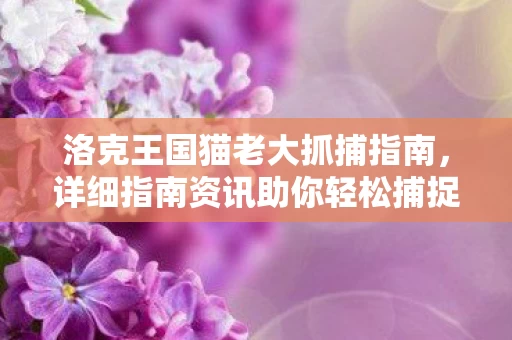详细指南资讯助你轻松捕捉猫老大图片