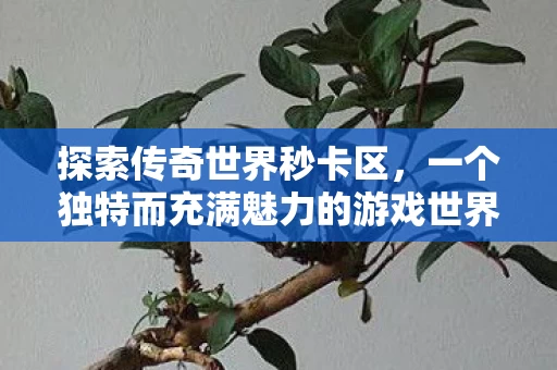 一个独特而充满魅力的游戏世界图片