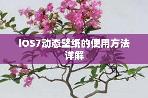 iOS7动态壁纸的使用方法详解图片