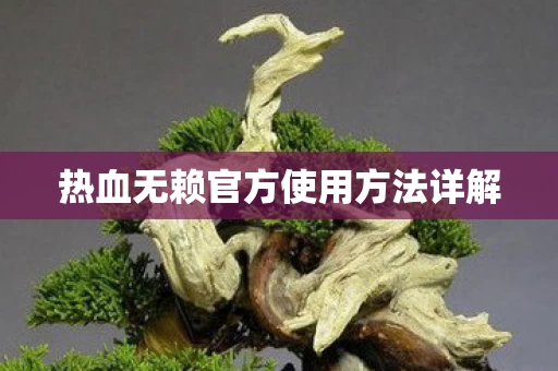 热血无赖官方使用方法详解图片