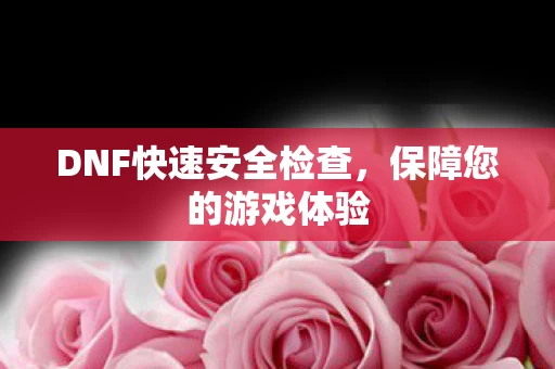 DNF快速安全检查图片