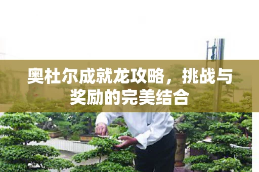 挑战与奖励的完美结合图片