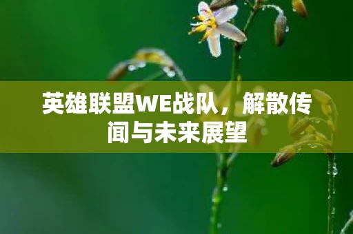 解散传闻与未来展望图片