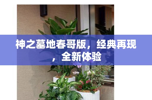 神之墓地春哥版图片