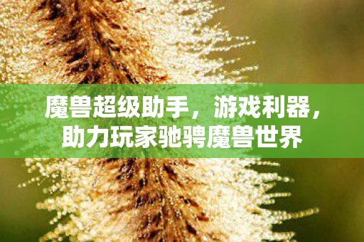 助力玩家驰骋魔兽世界图片