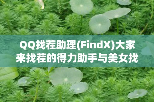 大家来找茬的得力助手与美女找茬的辅助神器图片