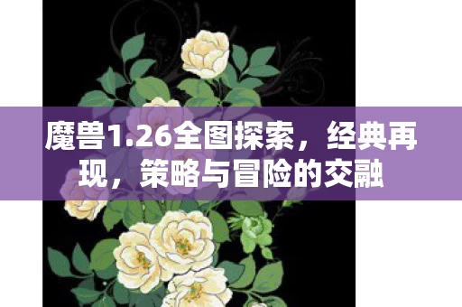 策略与冒险的交融图片