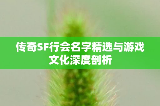 传奇SF行会名字精选与游戏文化深度剖析图片
