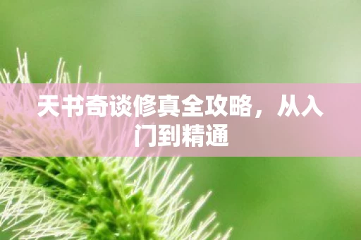 天书奇谈修真全攻略图片